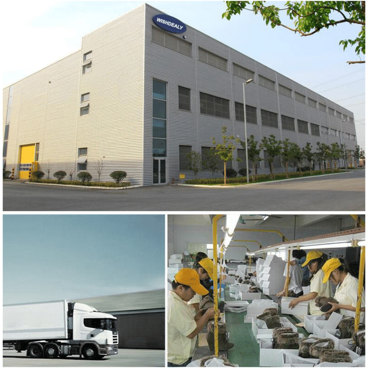 🔥Black Friday Sale 60% OFF🔥Lightweight, Comfortable Women's Mary Jane Flat Shoes